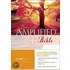 Amplified Large Print Bible-am