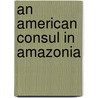 An American Consul In Amazonia door Joseph Orton Kerbey