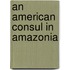 An American Consul In Amazonia