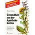Gesundheit Aus Der Apotheke Gottes
