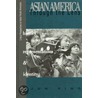 Asian America Through the Lens by Jun Xing
