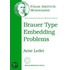 Brauer Type Embedding Problems
