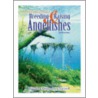 Breeding & Raising Angelfishes by Edward Stansbury