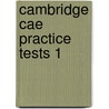Cambridge Cae Practice Tests 1 door W.S. Fowler