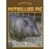 Caring For Your Potbellied Pig