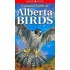 Compact Guide to Alberta Birds