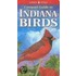 Compact Guide to Indiana Birds
