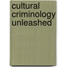 Cultural Criminology Unleashed by Keith J. Hayward