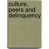Culture, Peers And Delinquency