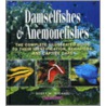 Damselfishes And Anemonefishes door Scott W. Michael