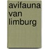 Avifauna van Limburg