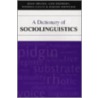 Dictionary Of Sociolinguistics door Theresa Lillis