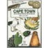 Discover The Magic - Cape Town