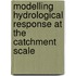 Modelling Hydrological Response at the Catchment Scale