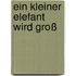 Ein kleiner Elefant wird groß