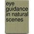 Eye Guidance In Natural Scenes