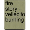 Fire Story - Vellecito Burning by Bob Thompson