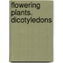 Flowering Plants. Dicotyledons