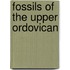 Fossils Of The Upper Ordovican