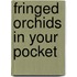 Fringed Orchids In Your Pocket