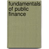 Fundamentals of Public Finance door Selestine Wilson Ramadhani