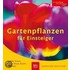 Gartenpflanzen für Einsteiger