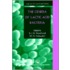 Genera of Lactic Acid Bacteria