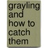 Grayling And How To Catch Them