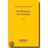 Grundlegungen der Soziologie 1 door Wolfgang Schluchter