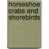 Horseshoe Crabs and Shorebirds