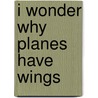I Wonder Why Planes Have Wings by Christopher Maynard