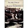 In The Field Of Black Diamonds by Drew Hudson