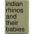 Indian Rhinos and Their Babies