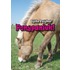 Ponypaniek!