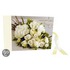 Jane Packer Wedding Guest Book