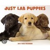 Just Lab Puppies 2011 Calendar door Onbekend