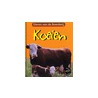 Koeien