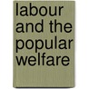 Labour and the Popular Welfare by William Hurrell Mallock