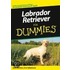Labrador-Retriever Fur Dummies