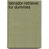 Labrador-Retriever Fur Dummies by Joel Walton