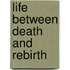 Life Between Death and Rebirth