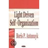 Light Driven Self-Organization door Boris P. Antonuyk