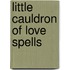 Little Cauldron Of Love Spells