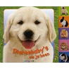 Dierenbaby's om je heen