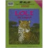 Loli the Leopard [With Poster]