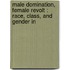 MALE DOMINATION, FEMALE REVOLT : RACE, CLASS, AND GENDER IN