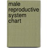 Male Reproductive System Chart door Frank Netter