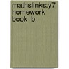 Mathslinks:y7 Homework Book  B door Ray Allan