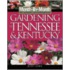 Mbm Gardening in Tennessee & K
