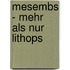 Mesembs - mehr als nur Lithops